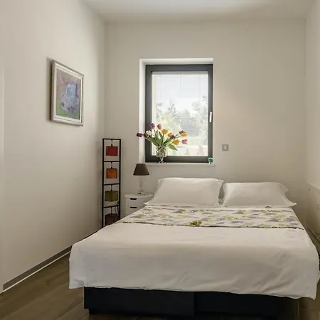 Pedena In Sveta Katarina - Haus Fuer 8-10 Personen Benazici